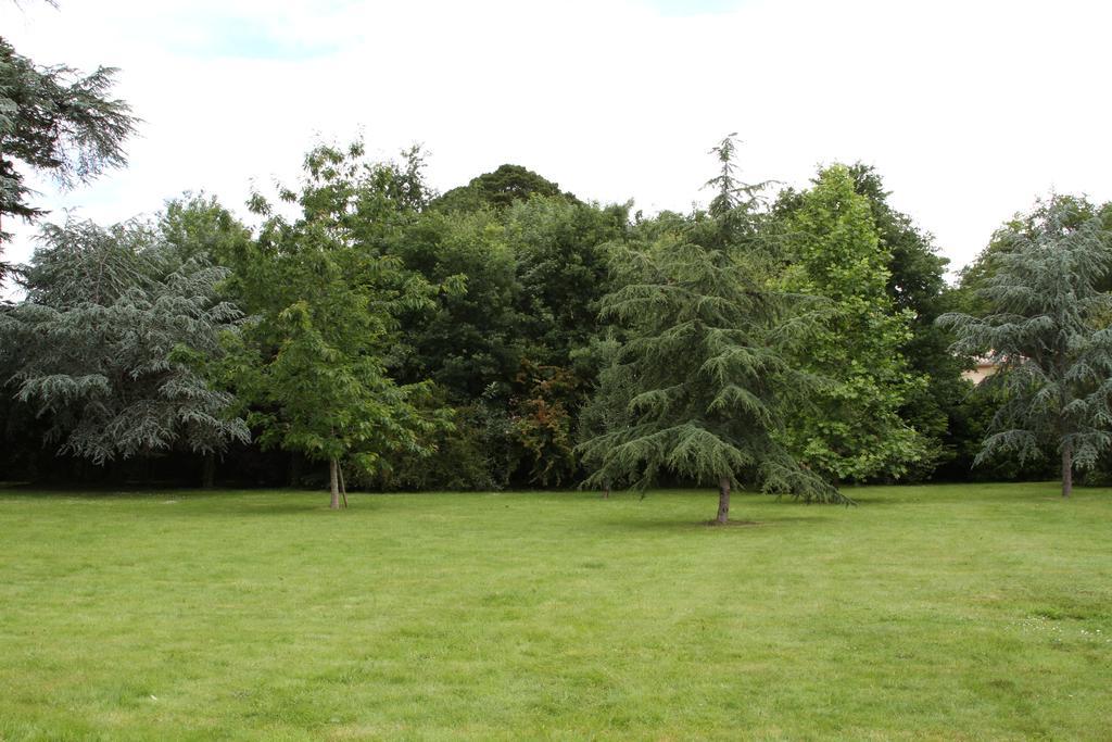 Bouaye Chateau Du Bois De La Noe المظهر الخارجي الصورة