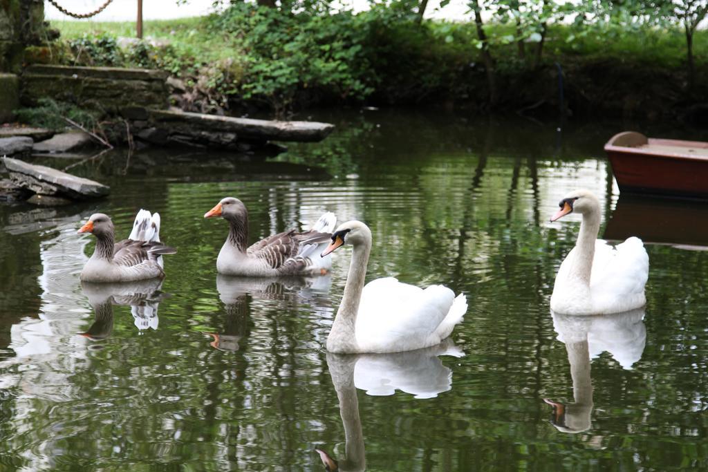Bouaye Chateau Du Bois De La Noe المظهر الخارجي الصورة