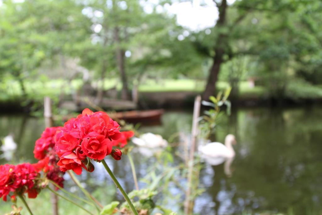 Bouaye Chateau Du Bois De La Noe المظهر الخارجي الصورة